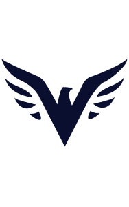Next Level Security Services Ltd logo