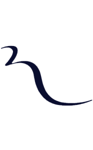 Rhiwbina Dental Surgery logo